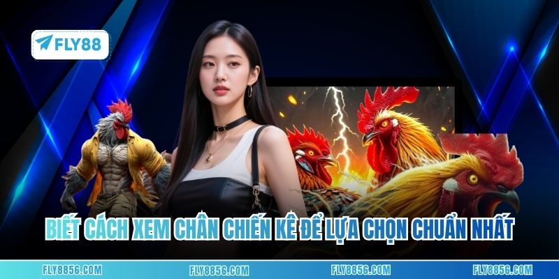 Biết cách xem chân chiến kê để lựa chọn chuẩn nhất