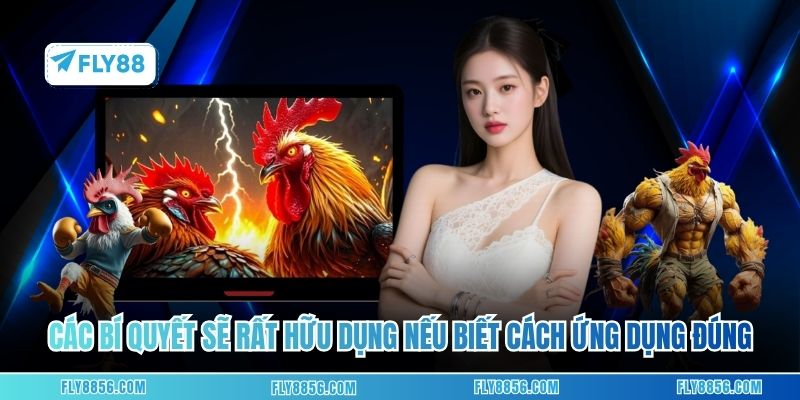 Các bí quyết sẽ rất hữu dụng nếu biết cách ứng dụng đúng