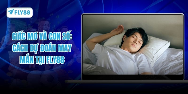 giấc mơ và con số fly88